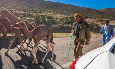 Excursion to Guelmim & Sidi Ifni – 1 Day