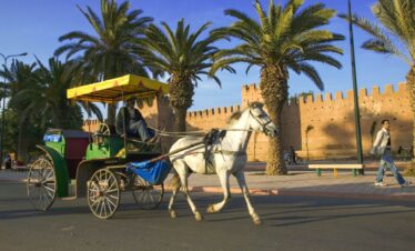 Taroudant to Marrakech