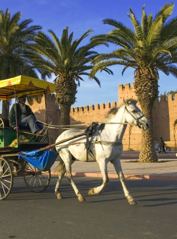 Taroudant to Marrakech