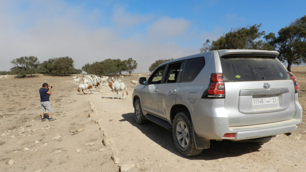 Animal Park Excursion