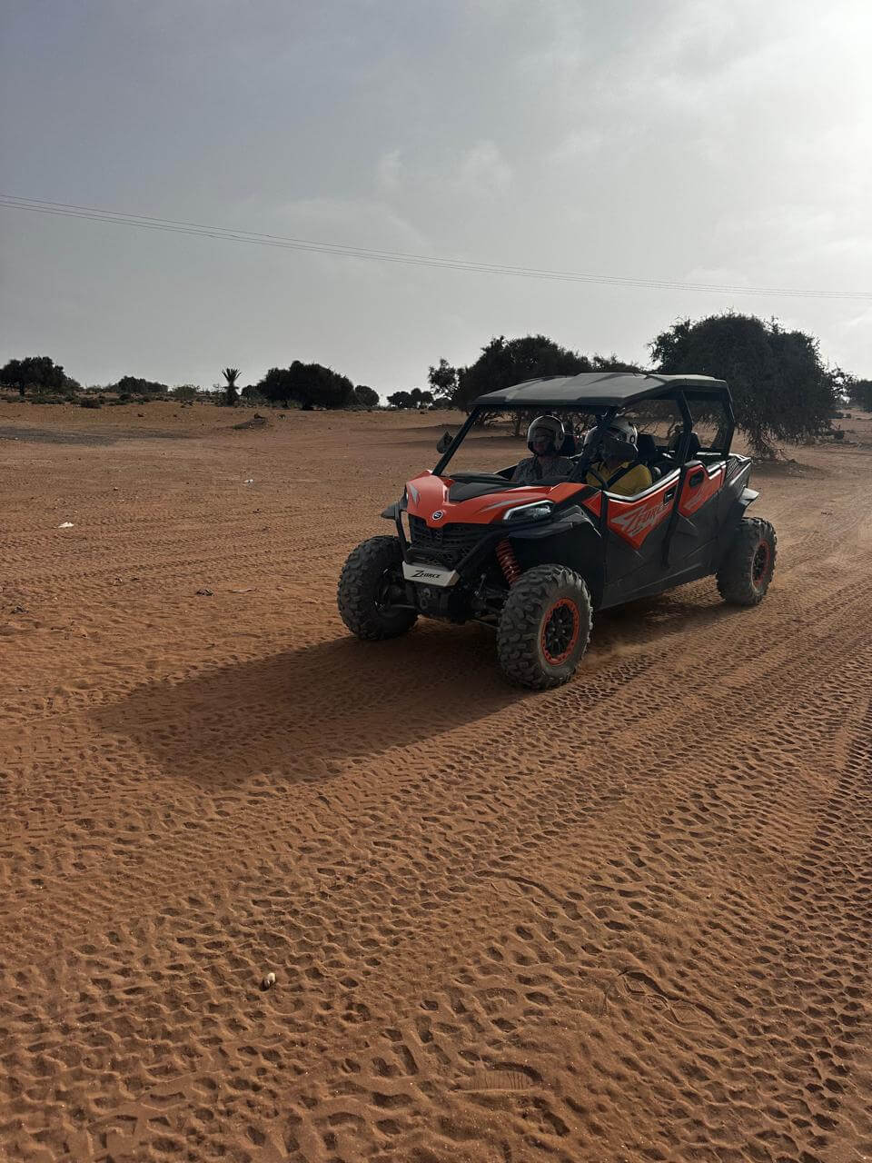 Argan forest quad biking Morocco