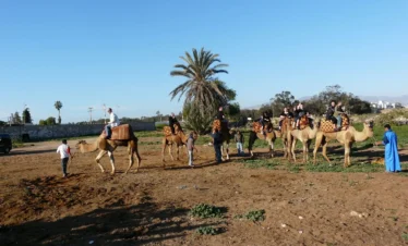 Le-dromadaire-est-une-experience-de-divertissement-avec-toute-la-famille