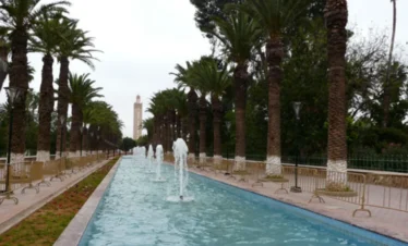 Tiout & Taroudant Adventure