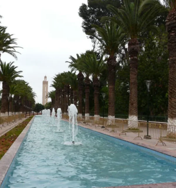 Tiout & Taroudant Adventure