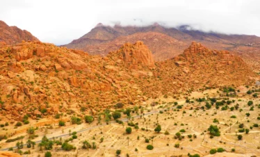 Agadir desert trips