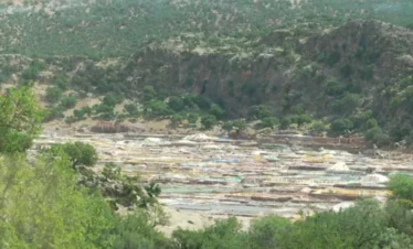 Agadir desert trips