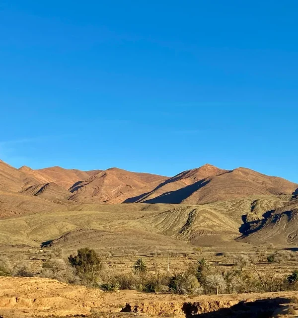 Tiout & Taroudant Adventure