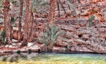Agadir desert trips