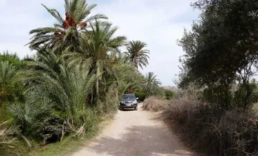 Tiout & Taroudant Adventure