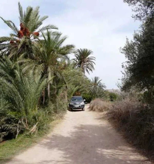 Tiout & Taroudant Adventure