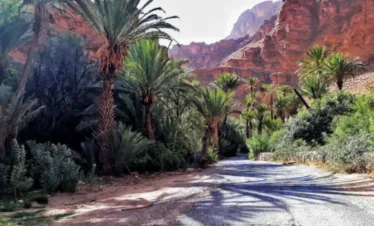 Agadir desert trips