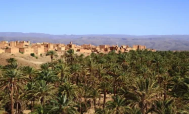 Southern Morocco Adventure to Ouarzazate