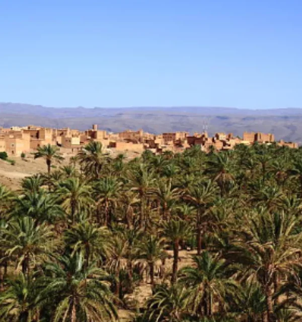 Southern Morocco Adventure to Ouarzazate