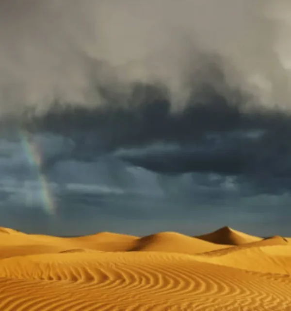 4×4 Sahara Thrills in Zagora Expedition