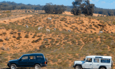 Souss Massa Wildlife Park 4x4 excursion