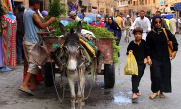 Taroudant to Marrakech