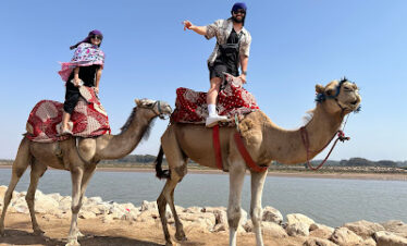 camel-ride-agadir-dunes