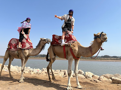camel-ride-agadir-dunes