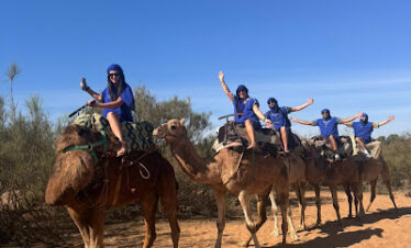 dromedary-tour-souss-massa