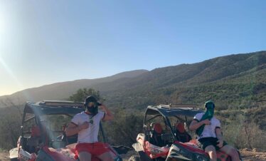 quad-tour-argan-forest-morocco